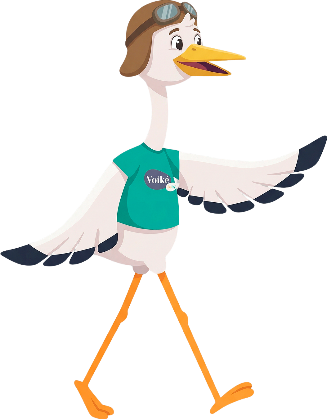 Voikinho